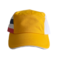 Cap St Eustace Okergeel